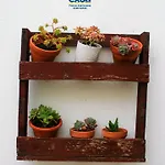 招待所 O Da Casa 3*