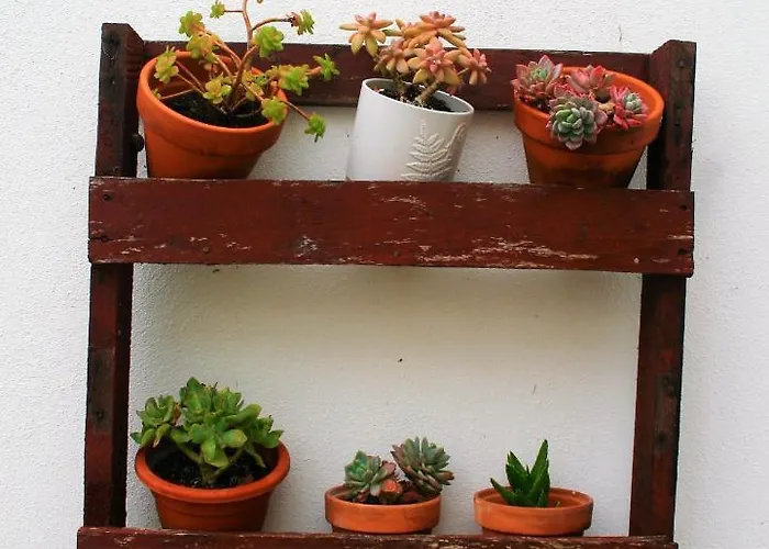 Guest house O Da Casa 3*